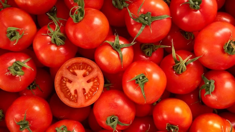Ăn cà chua giúp chống oxy hóa mạnh mẽ và chữa lành vết thương nhanh chóng